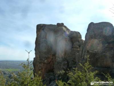 Gran Cañada-Cerro de la Camorza; excursion de un dia senderismo por soria sierras de albacete parque